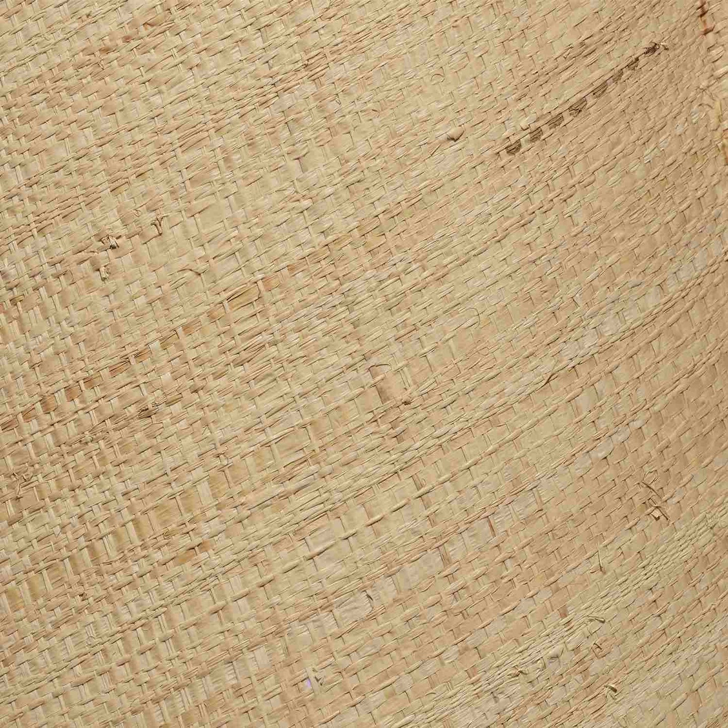 Scalloped Shade in Detail.