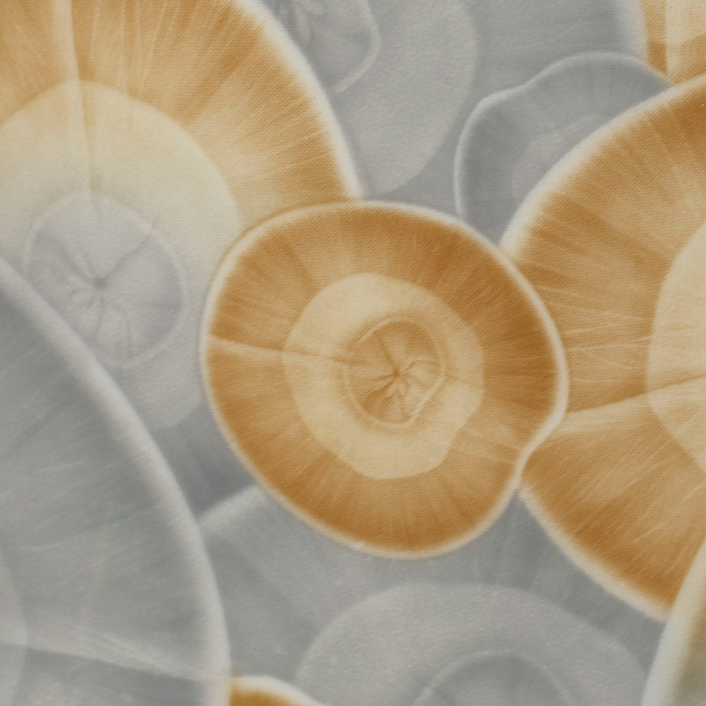 Serene Table Lamp in Detail.