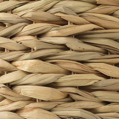 Shoreline Pendant Light in Detail.