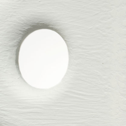 Vertebrae Table Lamp in Detail.