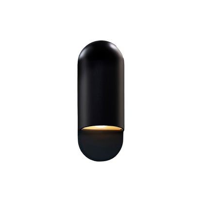 Ambiance ADA Capsule Outdoor Wall Light in Carbon Matte Black (Small).
