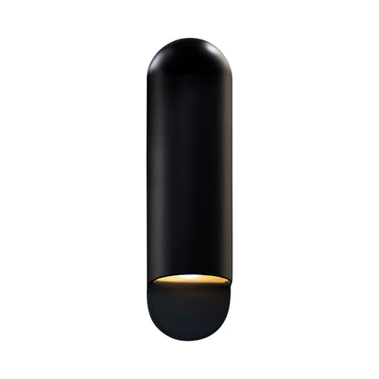 Ambiance ADA Capsule Outdoor Wall Light in Carbon Matte Black (Large).
