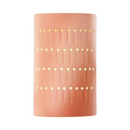 Ambiance Cactus Cylinder Open Top and Bottom Wall Light in Gloss Blush.