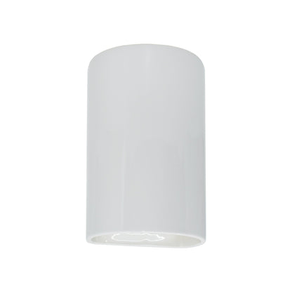 Ambiance Cylinder Closed Top Outdoor Wall Light in Gloss White (Small).