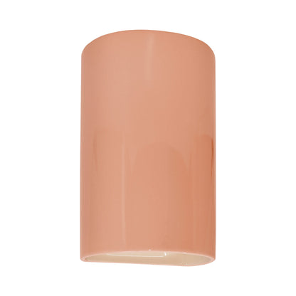 Ambiance Cylinder Closed Top Outdoor Wall Light in Gloss Blush (Large).