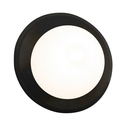 Ambiance Mini Coupe Wall Light in Detail.