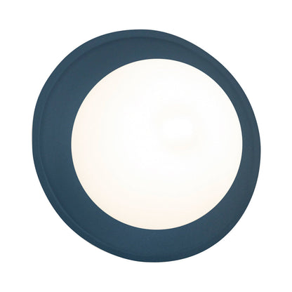 Ambiance Mini Coupe Wall Light in Detail.