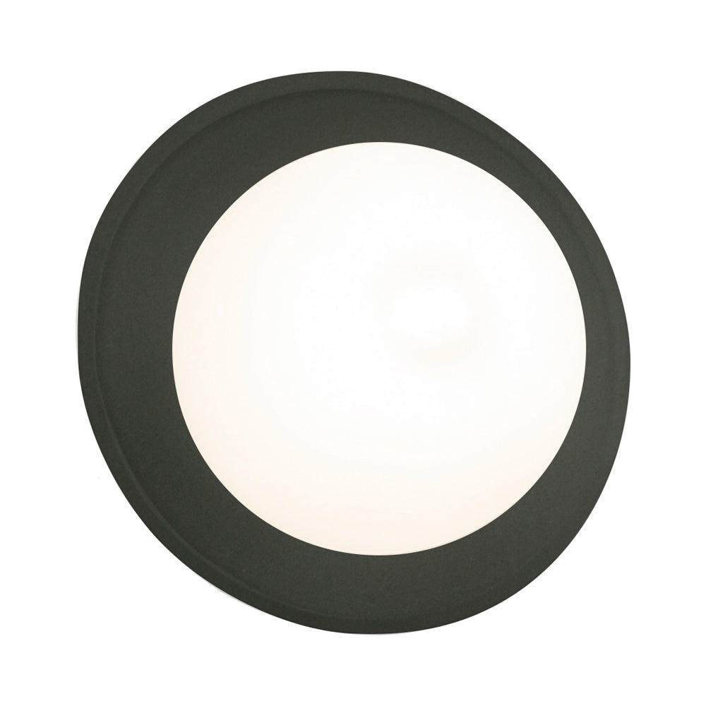 Ambiance Mini Coupe Wall Light in Detail.