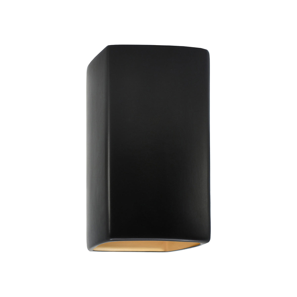 Ambiance Rectangle Closed Top Outdoor Wall Light in Carbon Matte Black/Champagne Gold (Small).