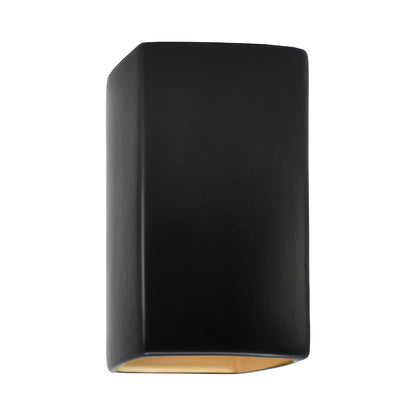 Ambiance Rectangle Closed Top Outdoor Wall Light in Carbon Matte Black/Champagne Gold (Large).