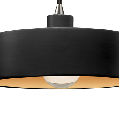 Radiance Dish Pendant Light in Detail.