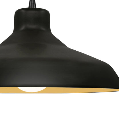 Radiance Loft LED Pendant Light in Detail.