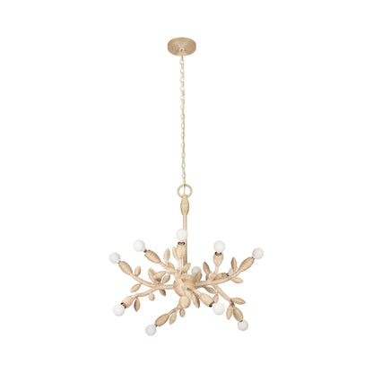 Branche Chandelier (12-Light).