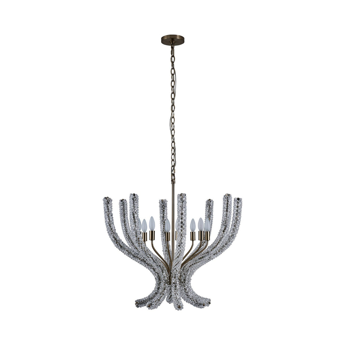 Coral Chandelier.