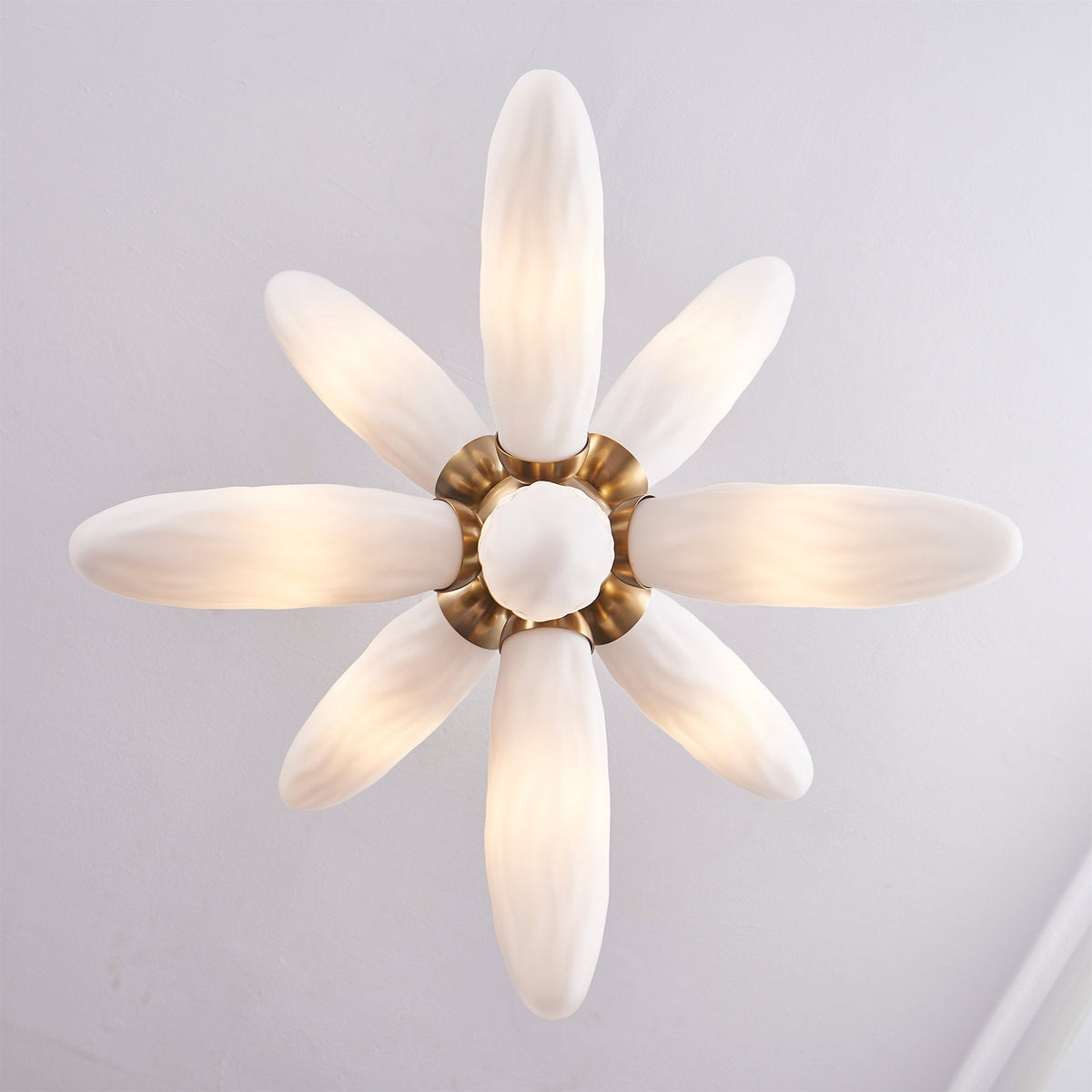 Crest Pendant Light in Detail.