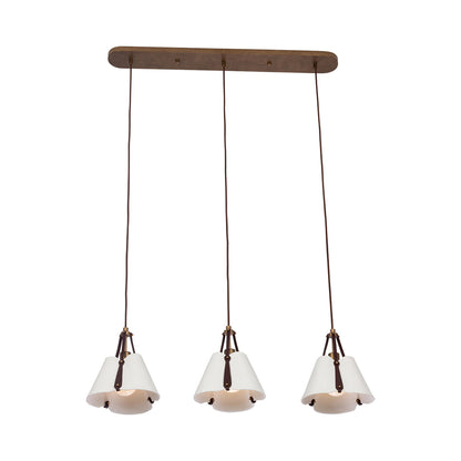 Embrace Linear Pendant Light.