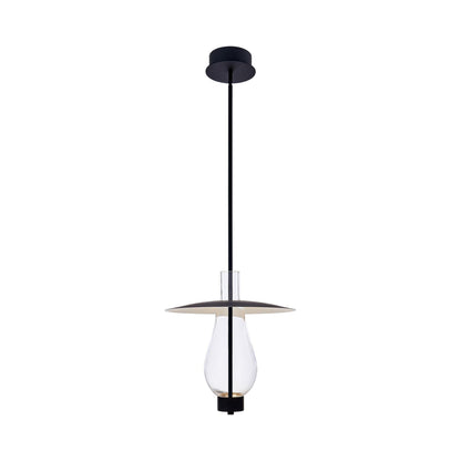 Hugo LED Pendant Light in Matte Black.