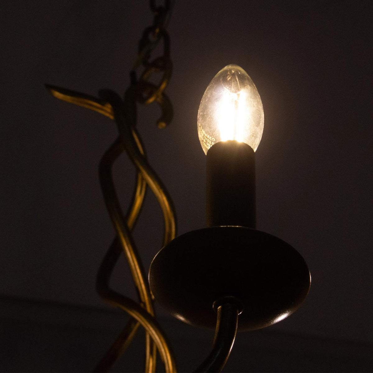 Rizo Chandelier in Detail.