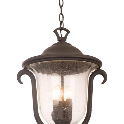 Santa Barbara Outdoor Pendant Light in Detail.