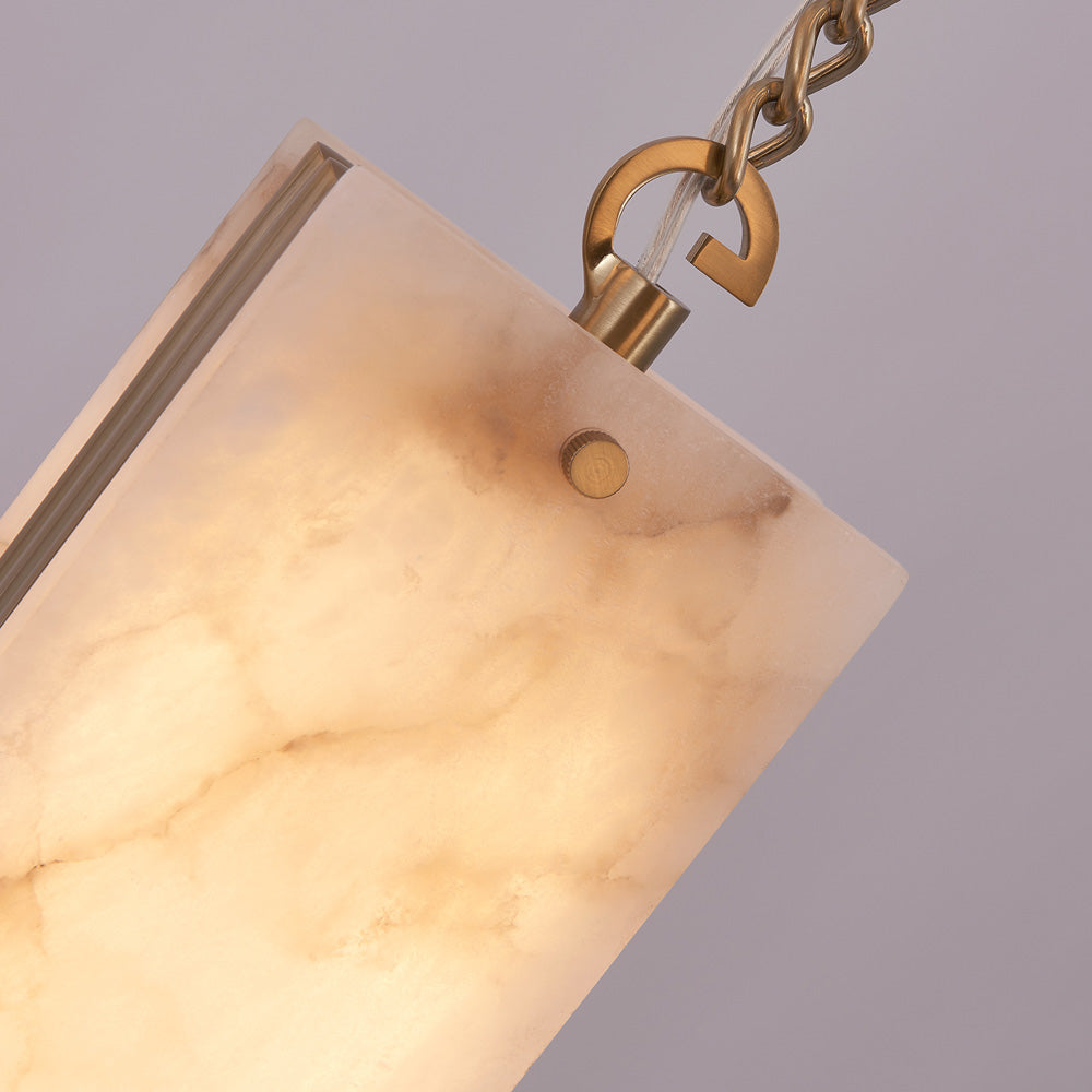 Vertical LED Multi Light Pendant Light in Detail.