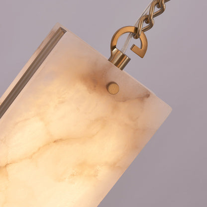 Vertical LED Multi Light Pendant Light in Detail.