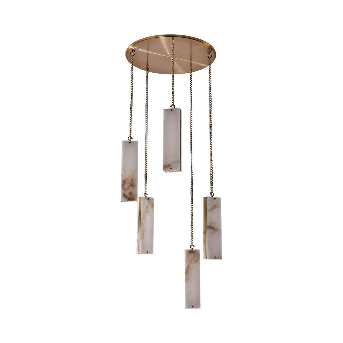 Vertical LED Multi Light Pendant Light in Detail.
