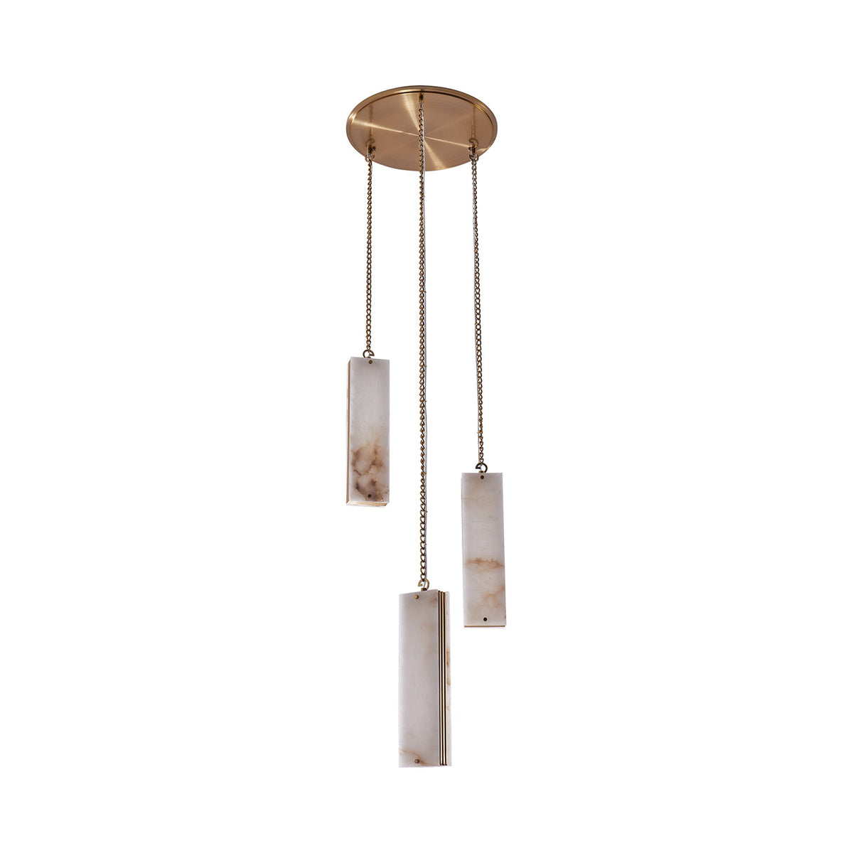 Vertical LED Multi Light Pendant Light in Detail.