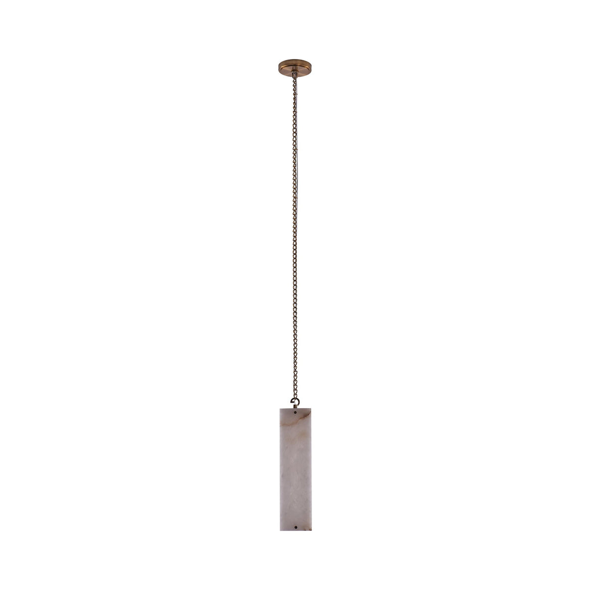 Vertical LED Pendant Light in Detail.
