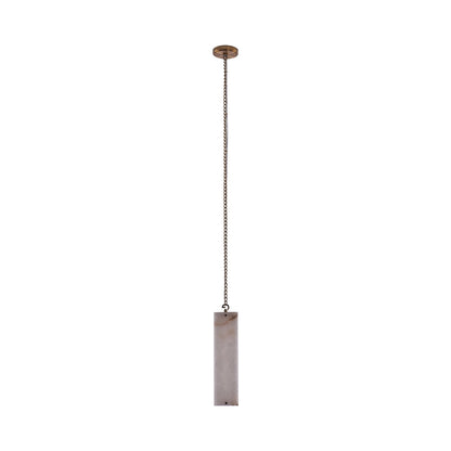 Vertical LED Pendant Light in Detail.