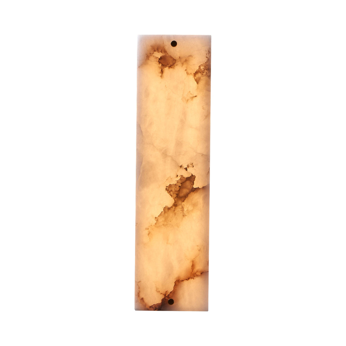 Vertical LED Wall Light.