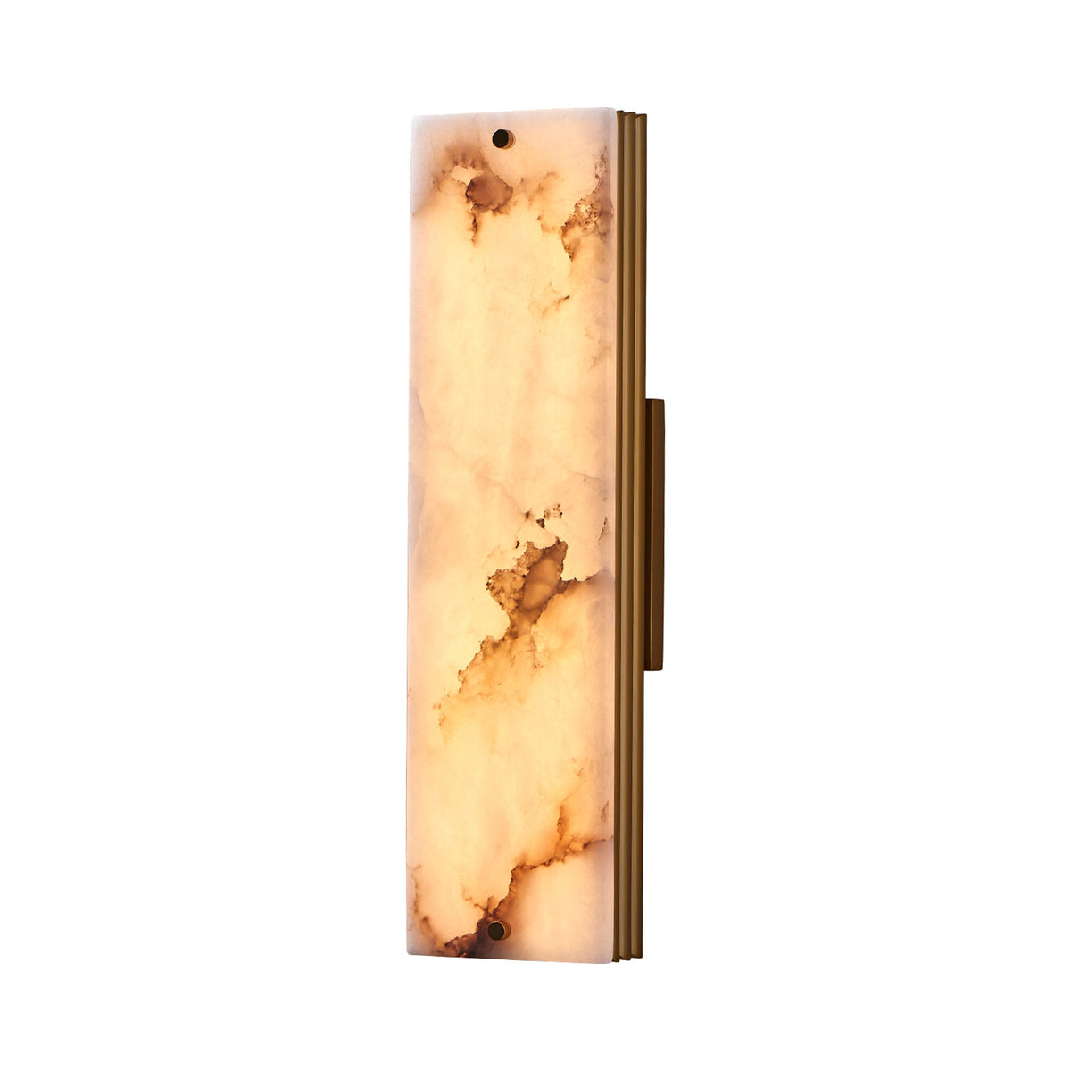 Vertical LED Wall Light in Detail.