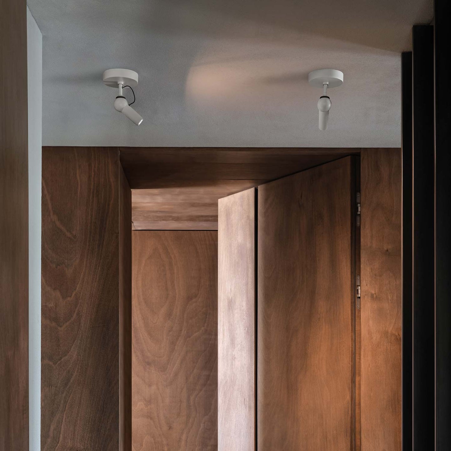 Bird LED Semi Flush Mount Ceiling Light in Detail.