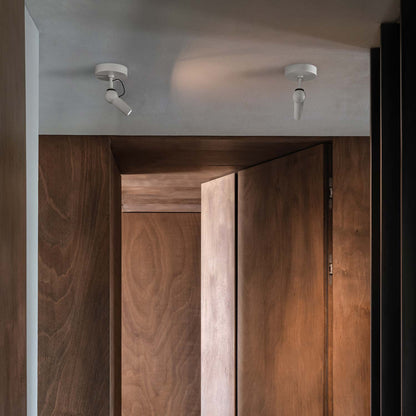 Bird LED Semi Flush Mount Ceiling Light in Detail.