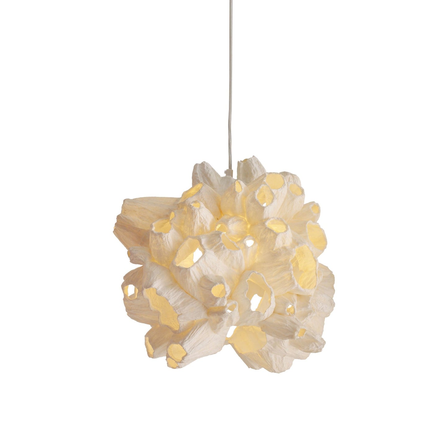 Barnacle Pendant Light (Small).