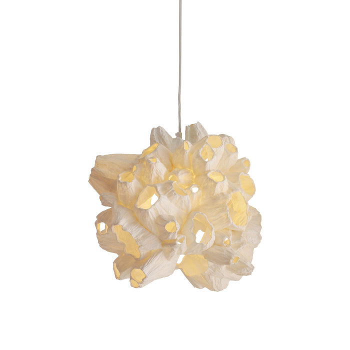 Barnacle Pendant Light (Small).