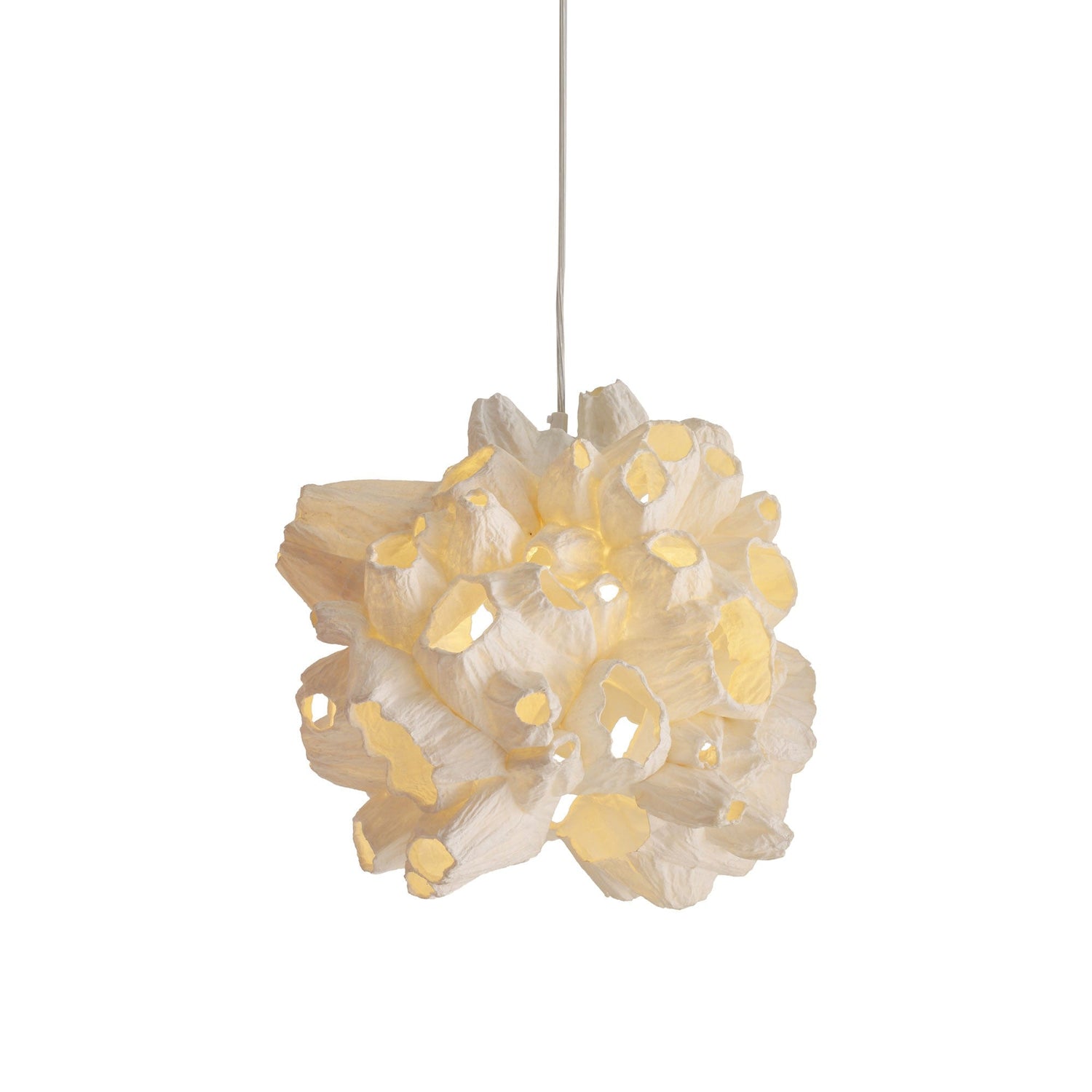 Barnacle Pendant Light.