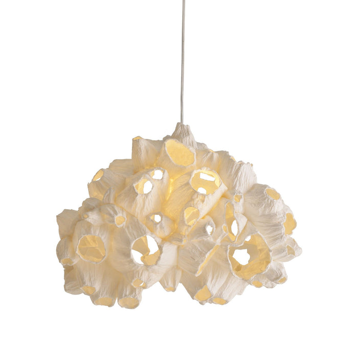 Barnacle Pendant Light (Medium).