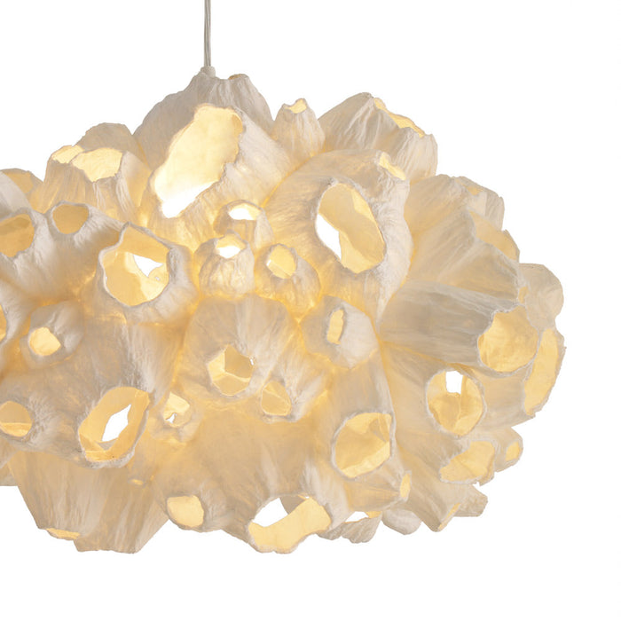 Barnacle Pendant Light in Detail.