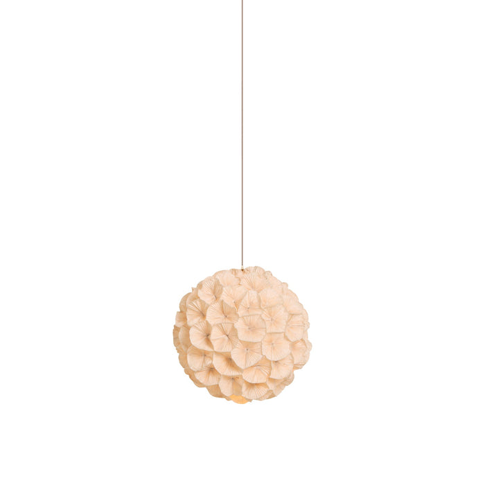 Poppy Pendant Light (Small).