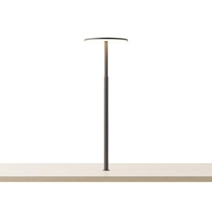 Yurei LED Co-Working Lamp in Matte Black/No Shade.