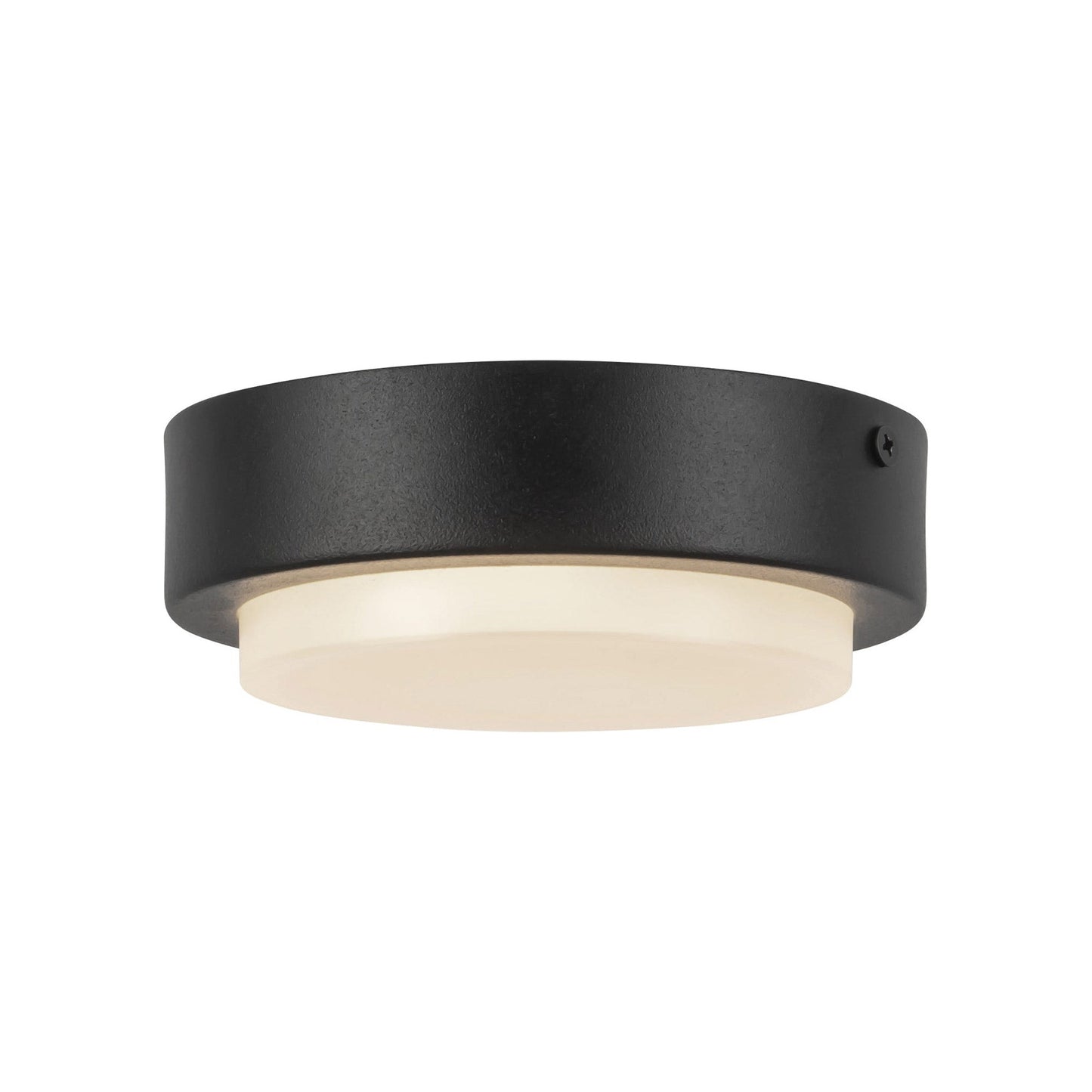 Bailey Outdoor LED Flush Mount Ceiling Light in Black (Small).