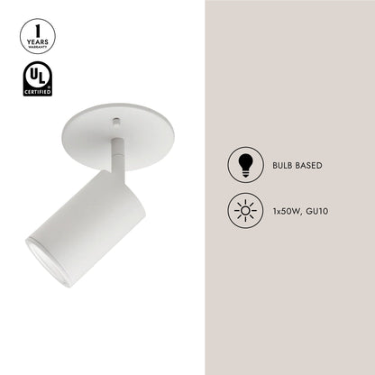 Barclay Semi Flush Mount Ceiling Light in Detail.