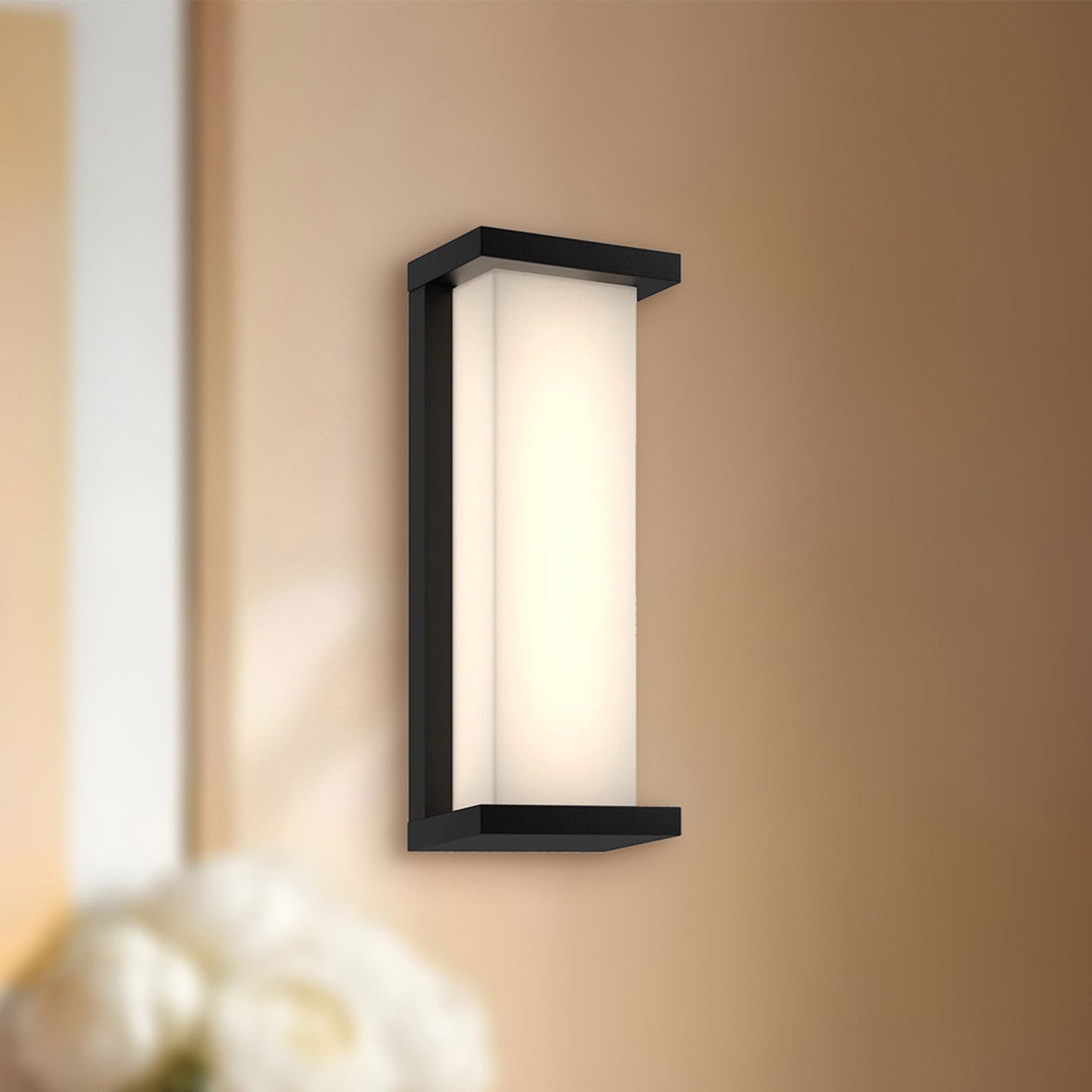 Bravo Outdoor LED Wall Light in Detail.