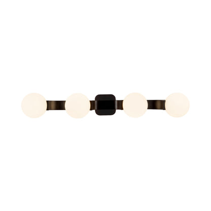Briar Bath Vanity Light in Black.