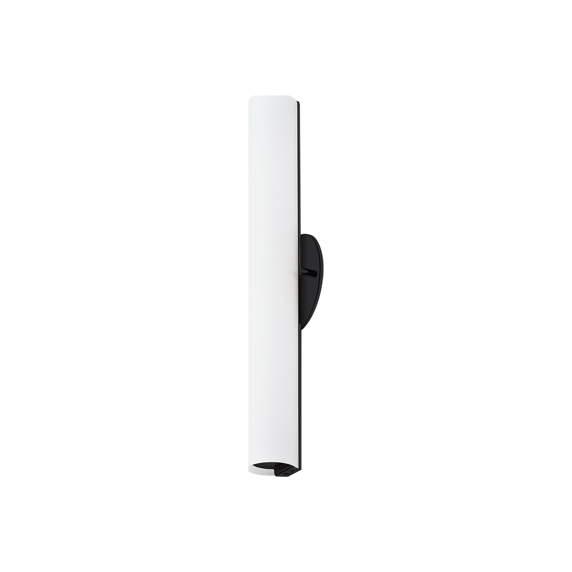 Bute LED Wall Light in Black (18-Inch).