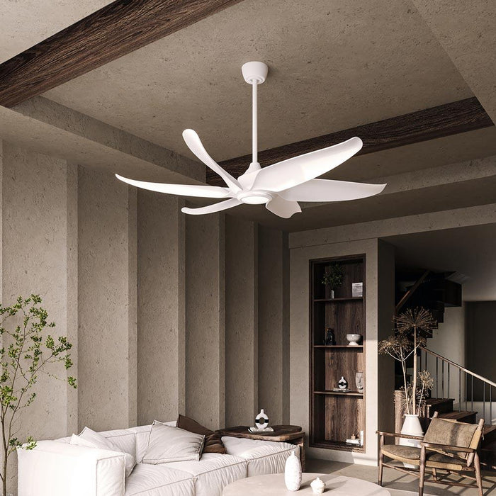Coronado LED Ceiling Fan in living room.