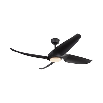 Coronado LED Ceiling Fan in Detail.