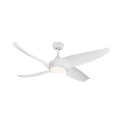 Coronado LED Ceiling Fan in Detail.