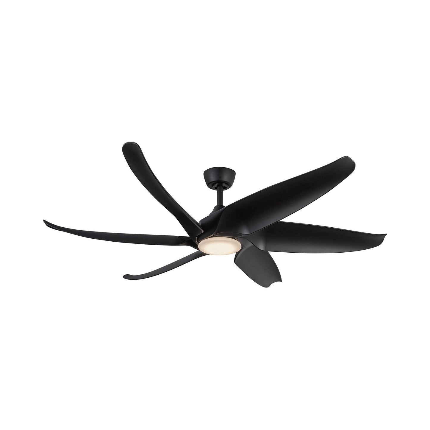 Coronado LED Ceiling Fan in Detail.