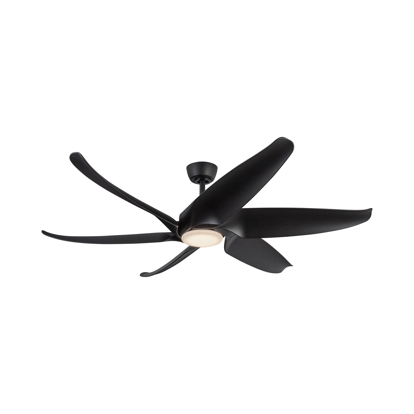 Coronado LED Ceiling Fan in Detail.